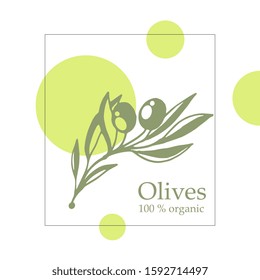 Vector sketch of an olive branch. Isolated drawing on a creative background.