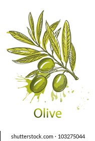 Vector Illustration Sketch Olives Stock Vector (Royalty Free) 417192016