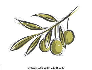 Vector sketch of olive tree branch