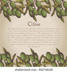 Vector sketch of olive tree branch. for design