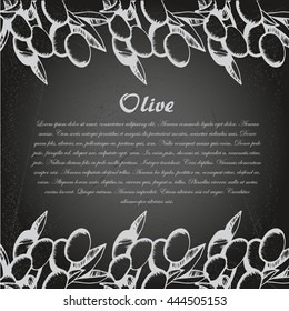 Vector sketch of olive tree branch. for design