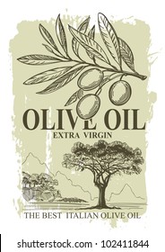 Vector sketch of olive trees