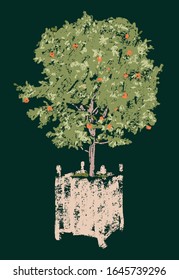 Esbozo vectorial del árbol anaranjado en la olla