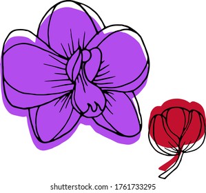 Vector sketch of orchid flowers. Nature. Sketch, illustration. decorative