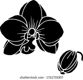 Vector sketch of orchid flowers. Nature. Sketch, illustration. decorative
