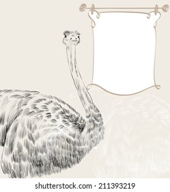 Vector sketch  ostrich  on the beige background.
