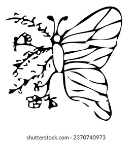 vector sketch of outline butterfly at white