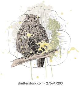 Vector sketch of a owl with flowers. Hand drawn illustration