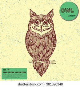 Vector sketch of owl. Hand drawn illustration in line art style.