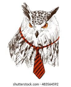 Vector sketch of owl in tie. Retro illustration