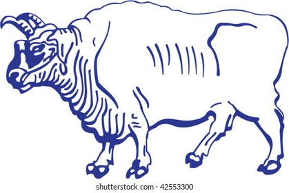 Vector of sketch of ox
