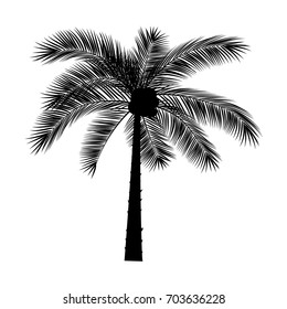 Bosquejo de Vector de una palmera sobre un fondo transparente