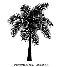 Vector Sketch Of A Palm Tree On A Transparent Background