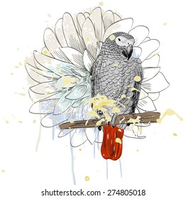 Vector sketch of a parrot with flower. Hand drawn illustration