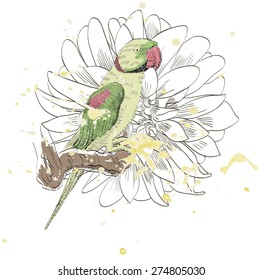 Vector sketch of a parrot with flower. Hand drawn illustration