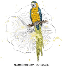 Vector sketch of a parrot with flower. Hand drawn illustration