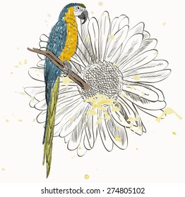 Vector sketch of a parrot with flower. Hand drawn illustration