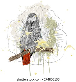 Vector sketch of a parrot with flower. Hand drawn illustration