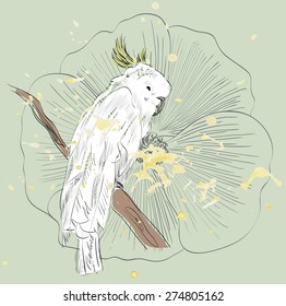 Vector sketch of a parrot with flower. Hand drawn illustration