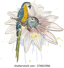 Vector sketch of a parrot with flower. Hand drawn illustration