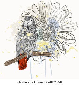 Vector sketch of a parrot with flower. Hand drawn illustration