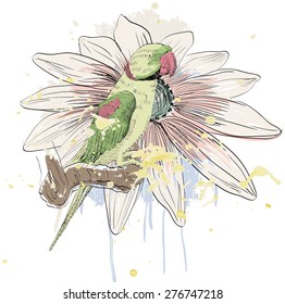 Vector sketch of a parrot with flower. Hand drawn illustration