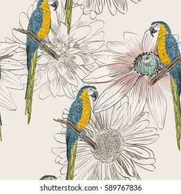 Vector sketch of a parrot with flower. Hand drawn illustration