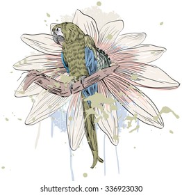 Vector sketch of a parrot with flowers. Hand drawn illustration