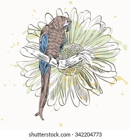 Vector sketch of a parrot with flowers. Hand drawn illustration
