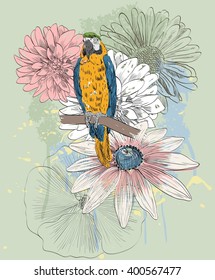 Vector sketch of a parrot with flowers. Hand drawn illustration