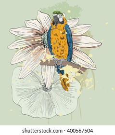 Vector sketch of a parrot with flowers. Hand drawn illustration