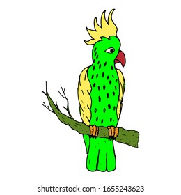 Vector sketch of a parrot. Hand drawn illustration