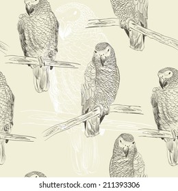 Vector sketch of a parrot. Hand drawn illustration