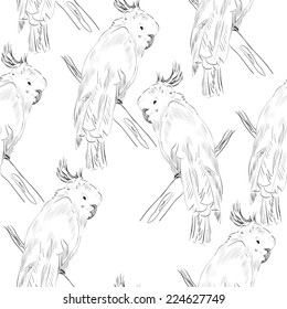 Vector sketch of a parrot. Hand drawn illustration