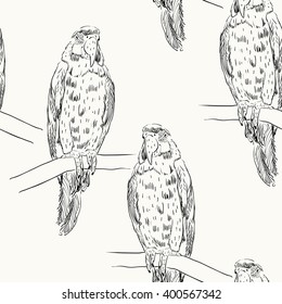 Vector sketch of a parrot. Hand drawn illustration