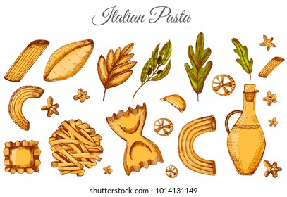 Vector sketch pasta set with hand drawn spaghetti, olive oil and leaves. Template for menu