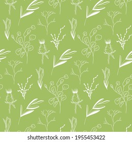 Vector sketch pattern of herbs such as eucalyptus, clover, willow and phlox on the green background. 