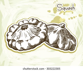 Vector sketch of Pattypan squash on an abstract background