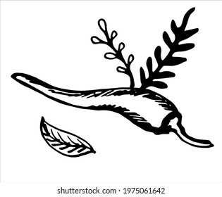 Vector sketch of pepper isolated on white background. Line silhouette handmade. Black and white vector