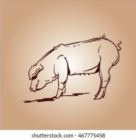 vector sketch of pig