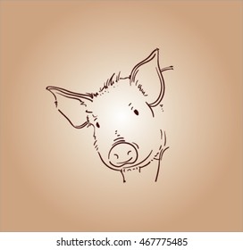 vector sketch of pig