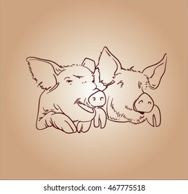 vector sketch of pig