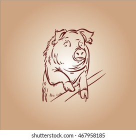 vector sketch of pig