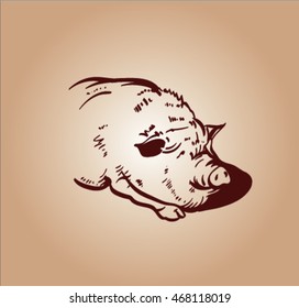 vector sketch of pig