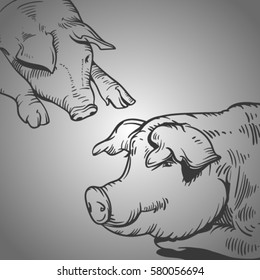 vector sketch of pig. Line pig on grey gradient. Pork and meat.Domestic animal on farm.
