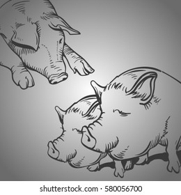 vector sketch of pig. Line pig on grey gradient. Pork and meat.Domestic animal on farm.