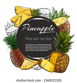 Vector sketch pineapple banner on white background. With place for text. Hand drawn sketch fruit graphic design	