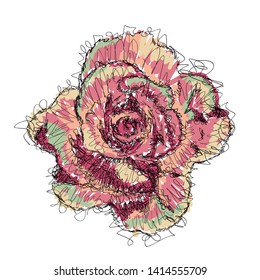 Vector sketch pink rose on white background