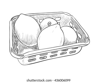 Vector sketch of plastic container with lemons. Food box with lemons. Hand draw illustration.