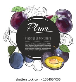 Vector sketch plum banner on white background. With place for text. Hand drawn sketch fruit graphic design	